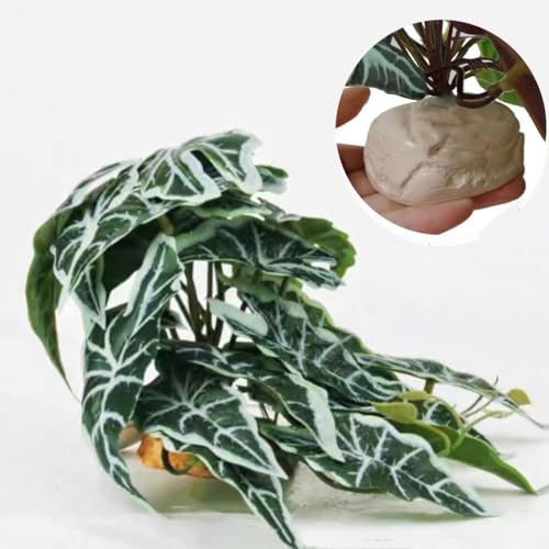 Reptile Plants,Terrarium Decor,Amphibian Habitat Decor,Artificial Plants for Gecko Chameleon Snake Tortoise Tank Accessories with Base(Alocasia) - color: Alocasia