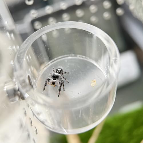 5pcs Handmade Spider Enclosure, Shelter Made of Natural Materials, Magnetic Hidden Jumping Spider Habitat