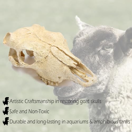 Aquarium Skull Décor Fish Hideout Cave Decorations Betta Tarantula Reptile Snake for Terrarium Ornament Dinosaur Animal Large Bones Halloween - color: Goat