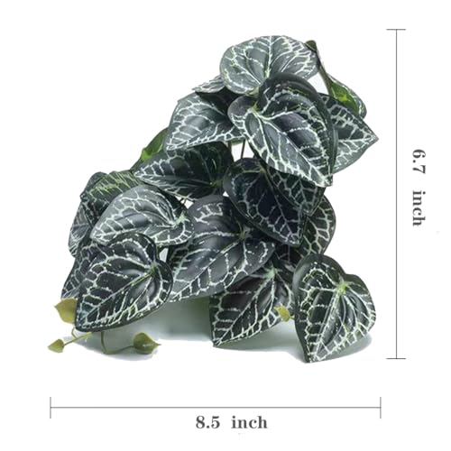 Reptile Plants for Terrarium,Amphibian Habitat Decor,Artificial Plants for Gecko Chameleon Snake Tortoise Bearded Dragon Tank Accessories with Base（Anthurium Crystallinum） - color: Anthurium Crystallinum