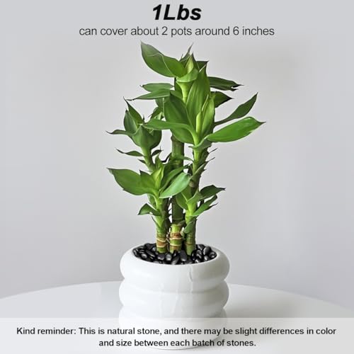 Terrarium Supplies,Virekm River Rocks, Decorative Ornamental Pebbles,Garden Landscaping Stones,Gravel Filler for Home Decoration Flower Bed Fish Tank Plants Vases Succulents - color: BLACK, size: 1 Pound