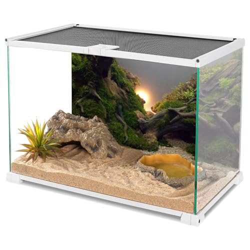 AWERT River Bed & Lake Aquarium Background Sunshine Aquatic Plant Fish Tank Background Vinyl 24x12 inches - size: 24x12in/60x30cm