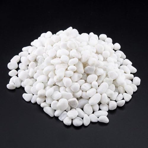 1 Lb/460g White Stones Decorative Pebble Rock Sand for Aquarium/Fish Turtle Tank/Vase Filler/Succulent Plants Decoration (Fill 1 Cup) - color: White, size: 1 Pound