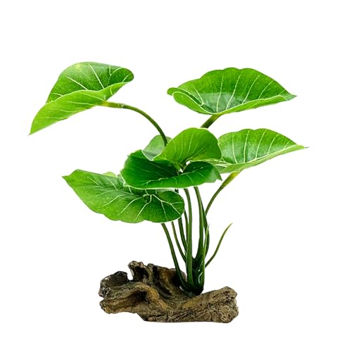 Fish Tank Decor Aquarium Decorations Ornaments Betta Leaf pad Hammock 6inch Plastic Artificial Plant Goldfish Fish Hides Small Tank/Reptiles Plants Driftwood (Green-Type-A) - color: Green-type-a