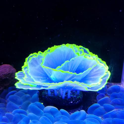Besimple Artificial Coral Ornament Glowing Effect Resin Aquarium Plants Coral Aquarium Fish Tank Decorations(Blue) - color: Blue