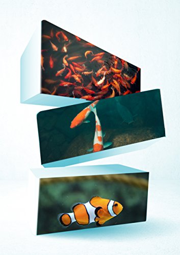 Koi Pond Filter Media Pad - Cut to Fit Roll (Dye-Free/Blue Bonded) - 1.25 Inch Thickness (10 ft, Blue) - color: Blue, size: 10 ft
