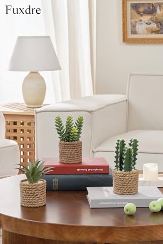 3-Pack Artificial Succulent Plants in Vintage Plastic Pots - Fake Waterproof Succulents Decor for Home, Office, Desk, Shelf - Low Maintenance Indoor Greenery for Bathroom, Living Room, Table Decor - color: Succulent-d-3pcs