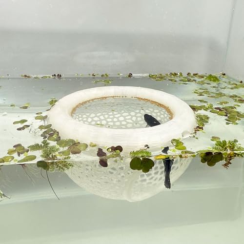 Aquarium Floating Betta Fish Skins, Betta or Shrimp Feeder, Cave and Hammock, Small Fish Feeding Rings, Aquarium Hiding Feeding Decorative Accessories (Translucent Color) - color: Translucent color