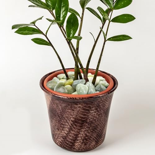 FANTIAN 10 lbs River Rocks, 1-2 Inch Polished Pebbles for Indoor Plants, Decorative River Stones for Succulent, Landscaping, Vases, Backyard, Crafting and Garden - color: Jade, size: 10 lbs, 1-2 Inch