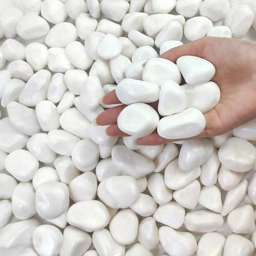 FANTIAN 5 lbs White Pebbles for Indoor Plants, 1-2 Inch Small White River Rocks for Plants, Decorative Polished Stones for Landscaping Vase and Outdoor Garden - color: White, size: 5 lbs, 1-2 Inch
