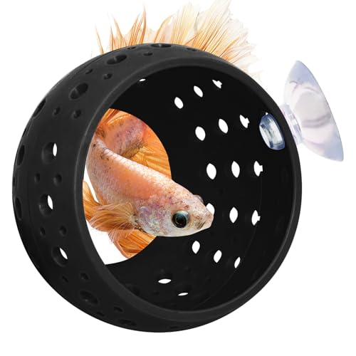 Fhiny Betta Tunnel, Aquarium Fish Hideout with Suction Cup - Shrimp Cave Aquarium Decor for Small Fish, Shrimp, Guppy Hiding & Resting (Black)