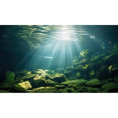 Under The Sea Aquarium Background Aquatic Plants Deep Sea Fish Tank Background Underwater Sunray Rock Terrarium Backgrounds Deep Ocean Floor Tropical Fish Tank Backgrounds Decorations 24x12in - color: Light Blue, size: 24(W)x12(H)inches/ 60(W)*30cm(H)