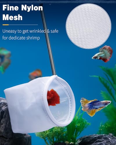Pawfly 3 Inch Aquarium Shrimp Net, Tiny Fish Tank Net with Extendable Stainless Steel Handle, Soft Round Fine Mesh for Baby Fish, Food Residue, and Debris Skimming in Small Ponds & Tanks - color: Blue Round, size: 3 Inch