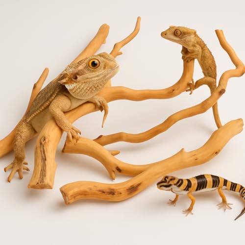 Azil Natural Driftwood Root Mix (5 pcs) – 100% Natural Driftwood for Aquarium, Reptiles, Terrariums, Vivariums, Aquascaping & Planted Tanks (Size: 7″–10″ / 17.8–25.4 cm) - size: root mix 7'' - 10''