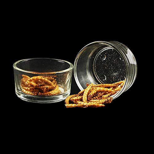 Senzeal 4X Glass Reptile Feeding Dish Food Water Bowl Feeder Bowl Cup Basin Tray Container for Small Pets Reptile Lizard Spider Scorpion Corn Snake Centipede Crickets