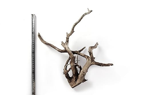 LANDEN Natural Spider Wood Aquarium Decorative Fish Tank Decorations, Driftwood Branches (12-16 Inch, XL) 4 Pcs - size: XL(12~16 inches, 30-40cm), 4pcs