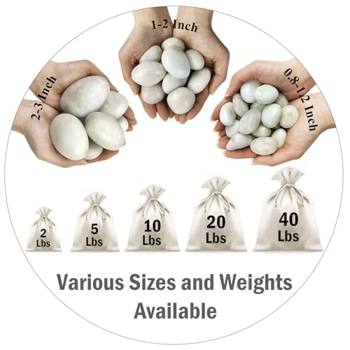 5 lbs White River Rocks, Polished Pebbles for Indoor Plants, 1-2 inch Decorative White Stones for Plants Vase Aquarium Fish Tank and Outdoor Garden Landscaping Rocks - size: 1-2 Inch, style: 5 Pounds