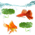 6 PCS Betta Fish Leaf Hammock - Soft Leaf Beds, Adjustable Plastic Bettas Bed Aquarium Decor, Betta-Fish Tank Decorations Plants Practical Resting Spot for Breeding, Hiding & Play
