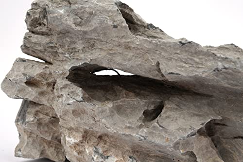 LANDEN Seiryu Stones Natural Rocks for Aquarium, Paludarium, Terrariums, Landscaping Rocks, Aquascaping, 80L (36lbs) 3-11in, Seiryu Stones(3-11inch,36lbs) - size: 07 Seiryu Stones(3-11inch,36lbs)