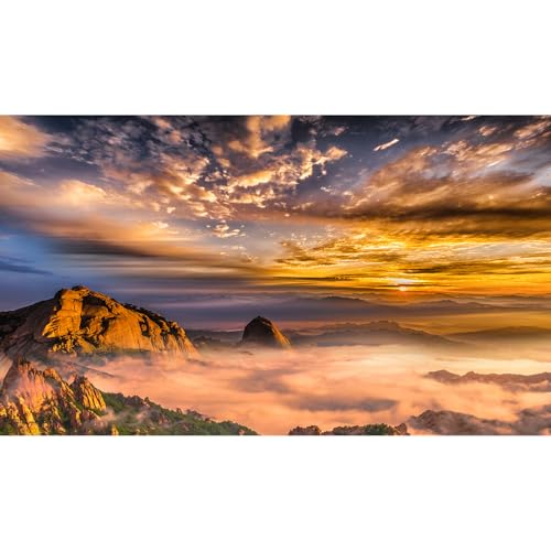Rock Mountains Reptile Tank Background Mountain Trees Aquarium Background Morning Fog Sunrise Mountain Ridge Fish Tank Backgrounds Rocky Bush Bearded Dragon Reptile Enclosure Backgrounds 24x12in - color: Orange_Brown, size: 24(W)x12(H)inches/ 60(W)*30cm(H