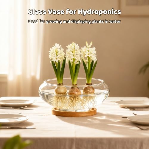 4PCS Lotus Bowl Planter with Wood Tray, 6 Inch Round Glass Vase for Hydroponics, Glass Fish Bowl, Bowl Planter for Plants Indoor Windowsill, Home Decor (4PCS)