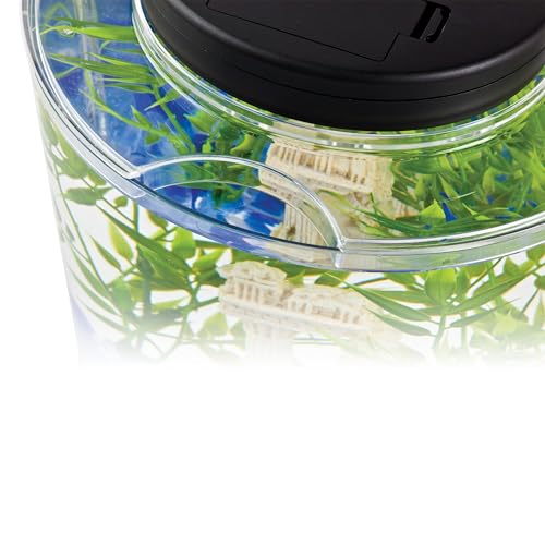 Tetra LED Half Moon Aquarium Kit, 1.1 Gallons, Small, Clear Plastic Fish Tank With Curved Front, Easy Feeding And Movable, Energy-Efficient LEDs Ideal For Bettas Great As Desk Aquarium