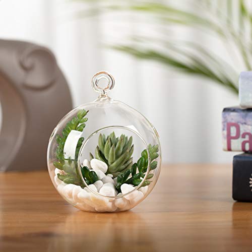 WGV Hanging Terrarium Globe, Width 4", Height 4.75", DIY Air Succulent Planter, Clear Glass Vase Orb with Flat Bottom, Candle Holder for Windowsill Outdoor Garden Decor, 6 Pieces Bulk - size: 4" Flat Bottom