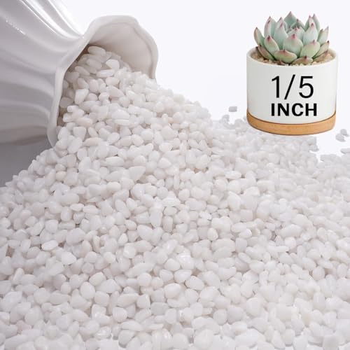 NUPICK 6 lbs Pebbles for Indoor Plants, 1/5 Inch Pea Gravel for Fish Tank, Polished Decorative Rocks for Succulent, Natural River Stones for Vases, Cactus, Landscaping, Bird Bath, Aquarium, White - color: White, size: 6 lb