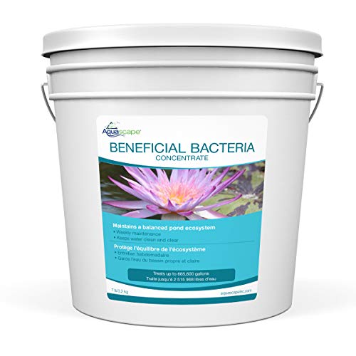 Aquascape 98950 Beneficial Bacteria Water Treatment Dry - 3.2 kg/7 lbs for Pond Water Feature Waterfall | Provides Clean, Clear and Healthy Water Conditions and Reduces Pond Maintenance - size: 7 lb