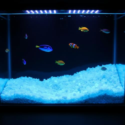 Shiny Stone Glow in The Dark Aquarium Gravel Sand, Sky Blue, 5-8mm | Neon, 305g/0.67lbs, Decorative Rocks for Fish Tank, Fairy Garden, Home Decor - color: Sky Blue, size: 5-8mm