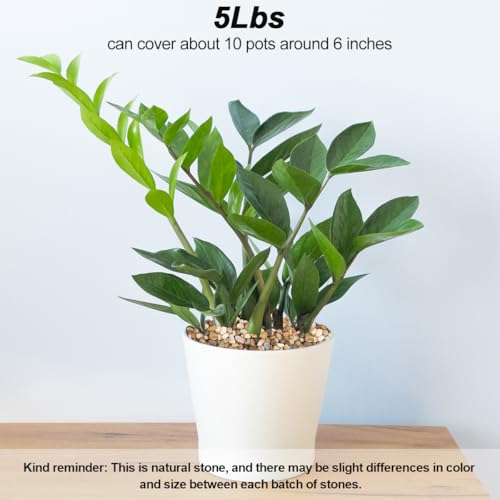 Landscaping Rocks,Landscaping Pebbles River Rocks Decorative Ornamental Pebbles Garden Landscaping Stones Gravel Filler for Home Decoration Flower Bed Fish Tank Plants Vases Succulents (5 Pounds) - color: Mixed color, size: 5 Pounds