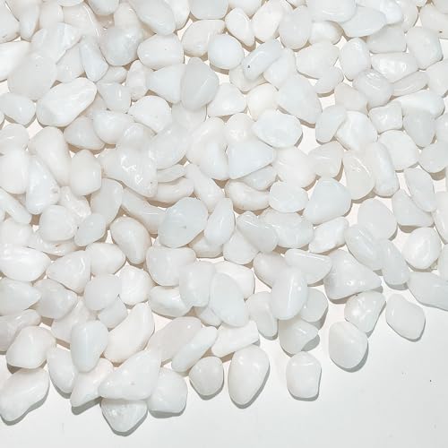 FANTIAN 10 lbs White Pebbles for Indoor Plants, 3/8 Inch Decorative White Stones. Polished River Rocks for Potted Plants Vase Cactus Bird Bath and Outdoor Garden Landscaping - size: 10 pounds, style: White