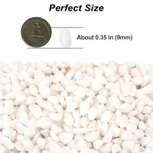 Landscaping Pebbles,River Rocks,Decorative Ornamental Pebbles,Garden Landscaping Stones,Gravel Filler for Home Decoration Flower Bed Fish Tank Plants Vases Succulents (1, White, 5 Pounds) - color: White, size: 5 Pounds