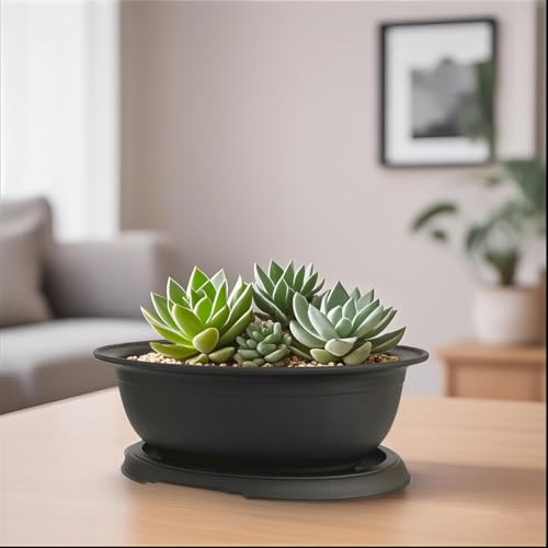 MUZHI 3 Pack Oval Bonsai Training Pot with Drainage Tray, Matte Finish Succulent Growing Pot for Home Garden Plant Outdoor Indoor Container (7.2" Medium) - size: 7.2" Medium