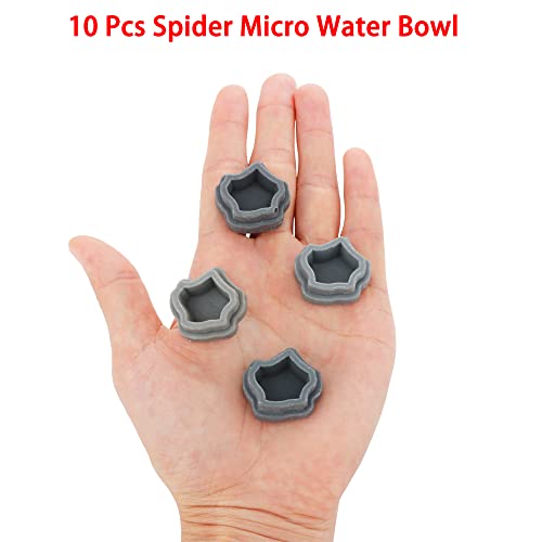 10 Pack Small Size Spider Terrariums Breeding Box Hatching Container Insect Scorpion Centipede Acrylic Breeding Box (with 10 Pcs Micro Water Bowl