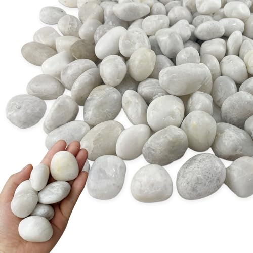 5LB White River Rocks, High Polished 1–2 inch Decorative Pebbles for Indoor Plants, Aquarium & Fish Tank Rocks, Garden Landscaping Stones, Vase Fillers, Lava Rocks for Plants & Pathway Decor