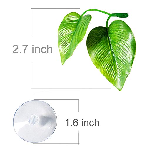 CousDUoBe 2 Pack Betta Fish Leaf Pad Improves Betta's Health by Simulating The Natural Habitat - Natural, Organic, Comfortable Rest Area for Fish Aquarium Ornaments - size: 2 Pack