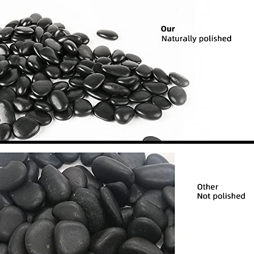 18 lb Natural Polished Black River Rock for Plants, 1/2" Black Pebbles for Aquarium, Vase, Garden Landscape Rocks and Outdoor Decorative Stones - style: Black Stones, black landscape rocks