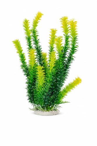 Aquatop Aquatic Supplies Bushy Plant 12in Green 36
