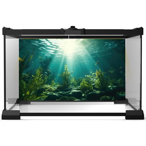 Ocean Aquarium Background Aquatic Plants with Rocks Terrarium Backdrop Sunlight Rays Deep Sea Fish Tank Background Aquarium Wallpaper Poster Decor Vinyl 24x12in - color: Grass Green, size: 24(W)x12(H)inches/ 60(W)*30cm(H)