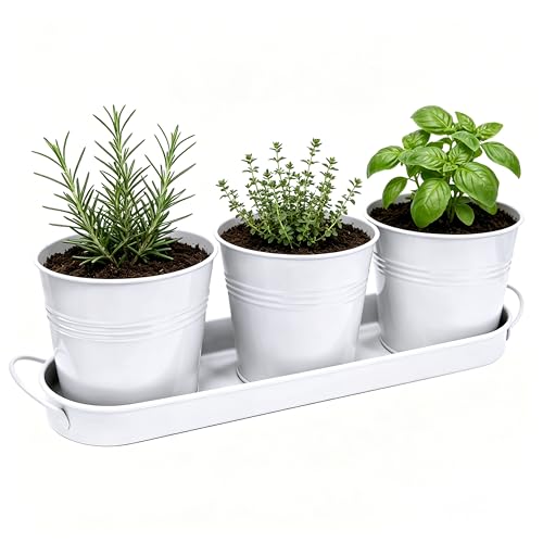 TCBWFY Indoor Herb Garden Planter Set - 3 Pack 4.7" White Metal Plant Pots with Drainage Holes & Removable Tray - Windowsill Kitchen Counter Balcony Office Garden - color: White
