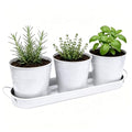 TCBWFY Indoor Herb Garden Planter Set - 3 Pack 4.7" White Metal Plant Pots with Drainage Holes & Removable Tray - Windowsill Kitchen Counter Balcony Office Garden - color: White