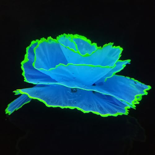 Besimple Artificial Coral Ornament Glowing Effect Resin Aquarium Plants Coral Aquarium Fish Tank Decorations(Blue) - color: Blue