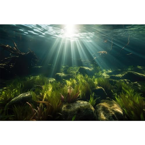 Ocean Floor Fish Tank Background Underwater Stone Aquarium Background Seaweed Branches Sunlight Fish Tank Backdrop Decoration Mysterious Aquarium Backdrop Durable Vinyl 24x12in - color: Turquoise, size: 24(W)x12(H)inches/ 60(W)*30cm(H)