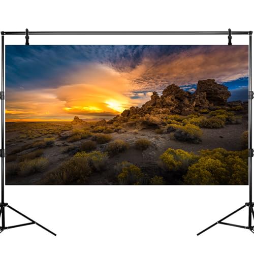 Reptile Terrarium Background Sunset Rock Formations Terrarium Background Reptile Tank Background Desert Thorns Rocky Bush Reptile Habitat Background Bearded Dragon Tank Aquarium Background 24x12in - color: Oasis Green, size: 24(W)x12(H)inches/ 60(W)*30cm(
