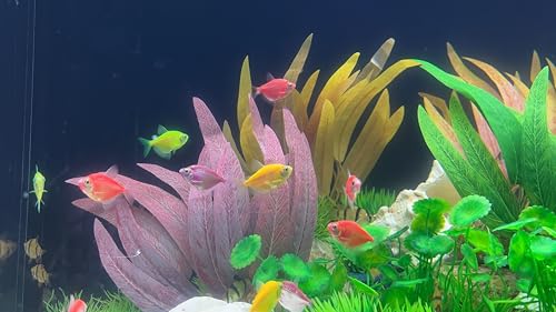 2Pcs Artificial Aquatic Plants Set - Lifelike Silk Fabric Leaves for Aquarium Decoration, Easy to Maintain, Vibrant Underwater Garden (Red) - color: Red