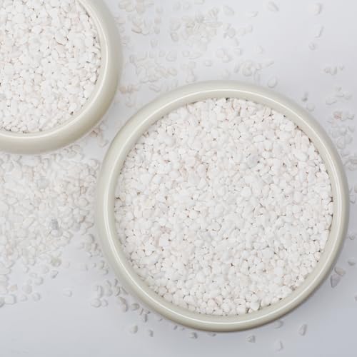 10lbs Natural Gravel Pebbles for Succulents and Cacti, 1/5 Inch Decorative River Stones – Perfect for Vases, Aquariums, Terrariums, and Outdoor Gardening, Mixed Colors (White, 10 Pounds) - color: White, size: 10 Pounds