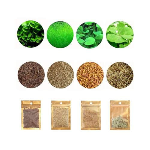4 Pack Aquarium Plant S.e.e.d Set, not Artificial plasticl Plant. Real Grass Tank Decor Replacement for Resin or Plastic Grass N0：9527-17