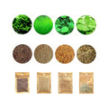 4 Pack Aquarium Plant S.e.e.d Set, not Artificial plasticl Plant. Real Grass Tank Decor Replacement for Resin or Plastic Grass N0：9527-17