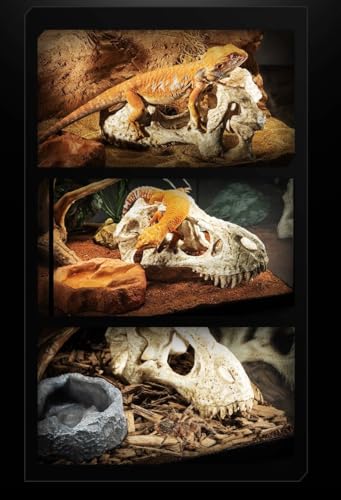 CLEEN T-Rex Skull Reptile Hide - Dinosaur Bone Terrarium Decor for Lizards Snakes Bearded Dragon, Realistic Fossil Cave Aquarium Tank Accessories (Small)